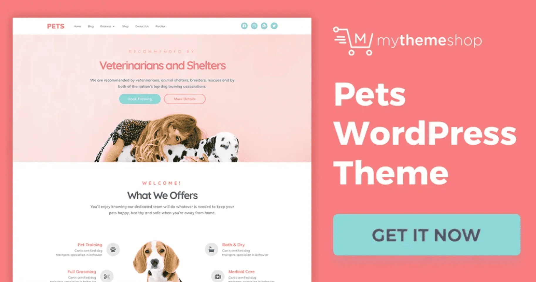 Pets Perfect Theme for Animal Lovers